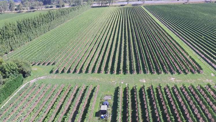 213 Chaytors Road Spring Creek_41