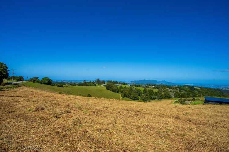 Franklin Road Parua Bay_9