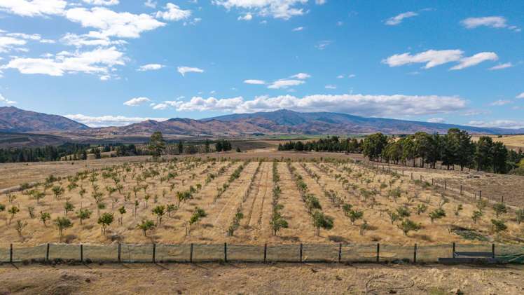 267 Springvale Road_4