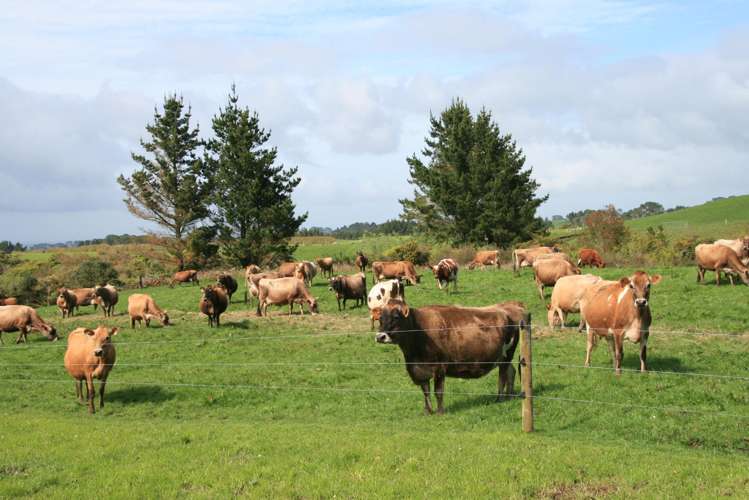 2105 Hastings Road Mahoe_17