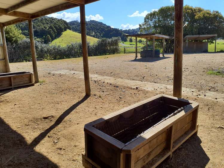 558 Helmsdale Road Waipu_8