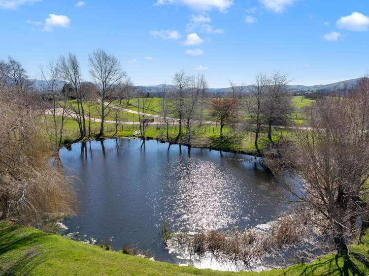 311 Gordon Street Lansdowne_33