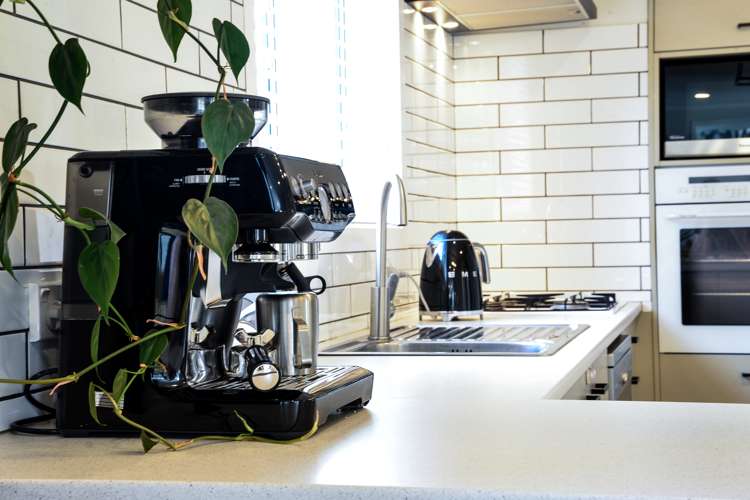 20a Galloway Street Hamilton East_6