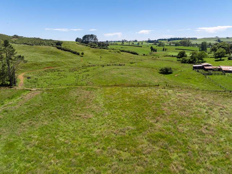 356 Klondyke Road Onewhero_8