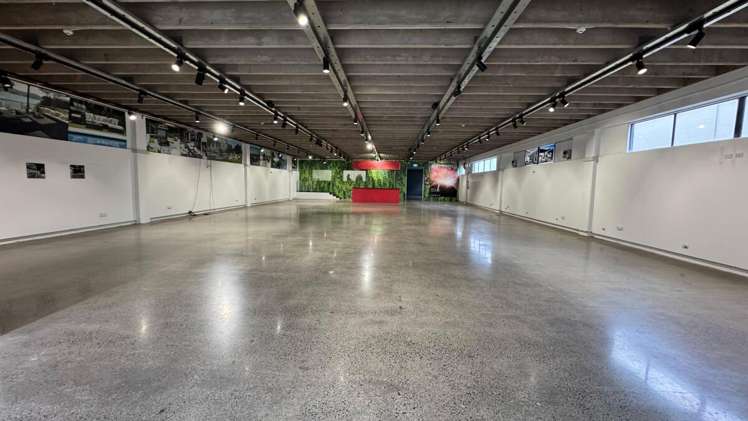 38 Lunn Avenue Mount Wellington_6