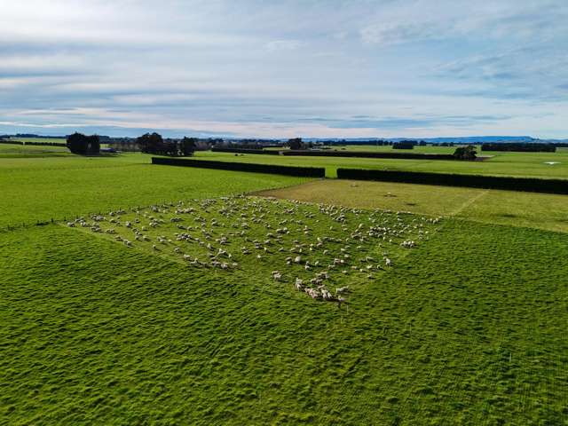 677 Waituna Road Oteramika_4