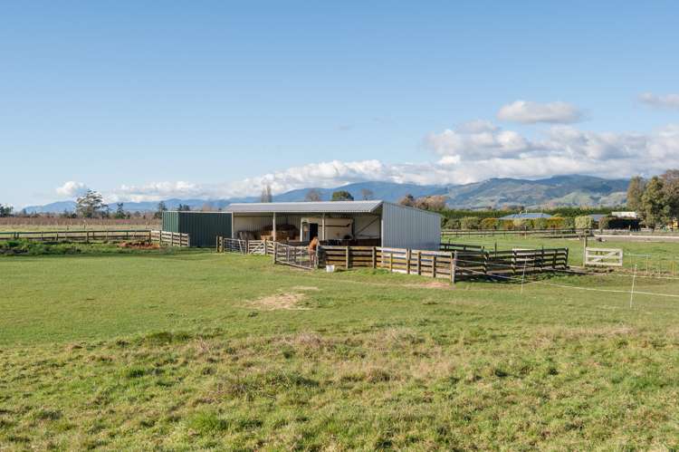 141 Teapot Valley Road Brightwater_3