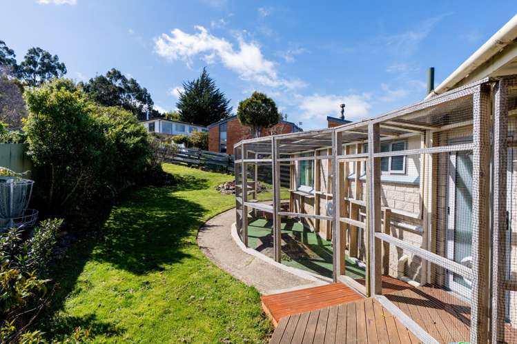 7 Dalrymple Street Pine Hill_25