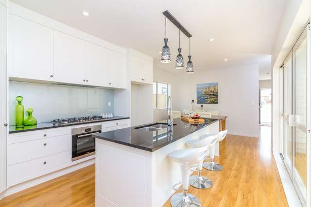 255 Murphys Road Flat Bush_4