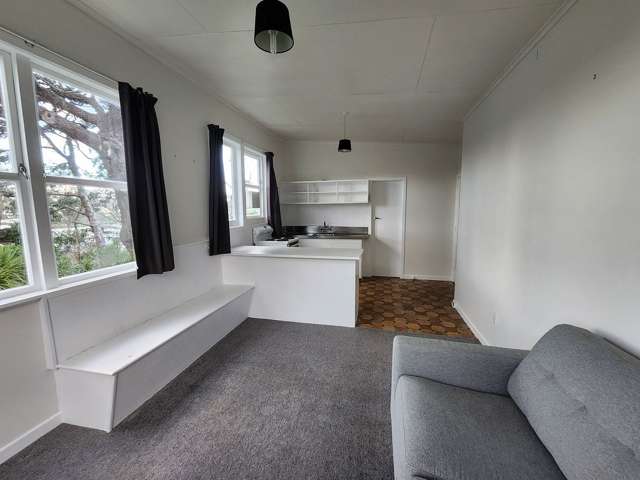 79B Ironside Road Johnsonville_1