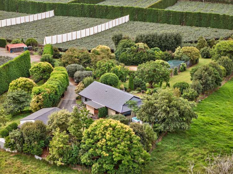 26D Wainui Road South Whakamarama_30