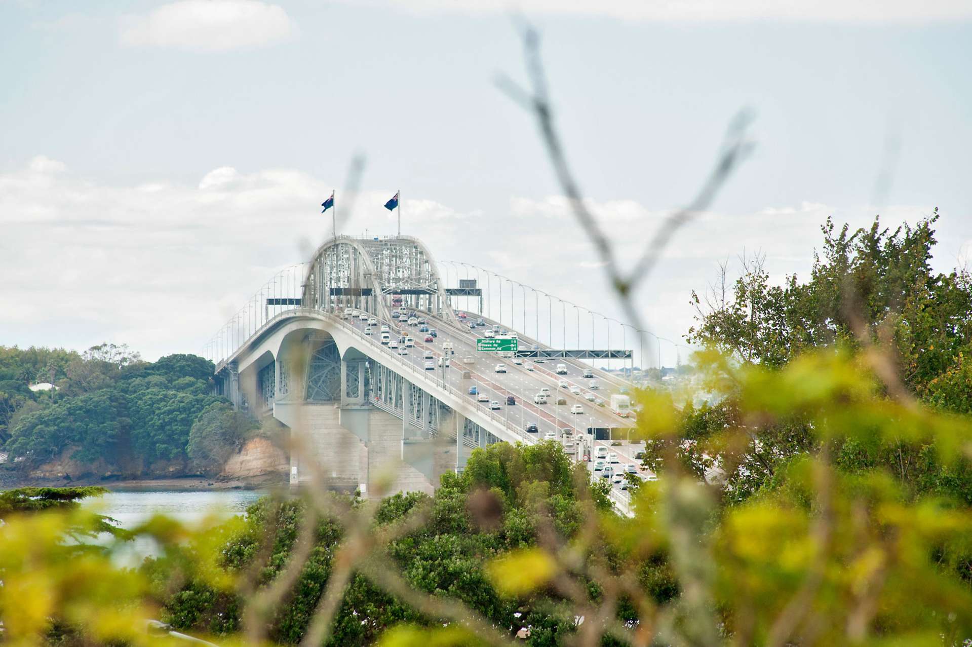 64 Sarsfield Street Herne Bay_0