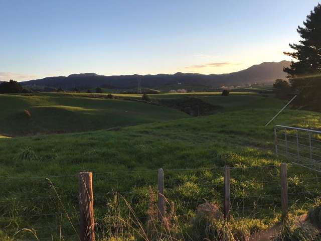 Hollis Road Waikino_2