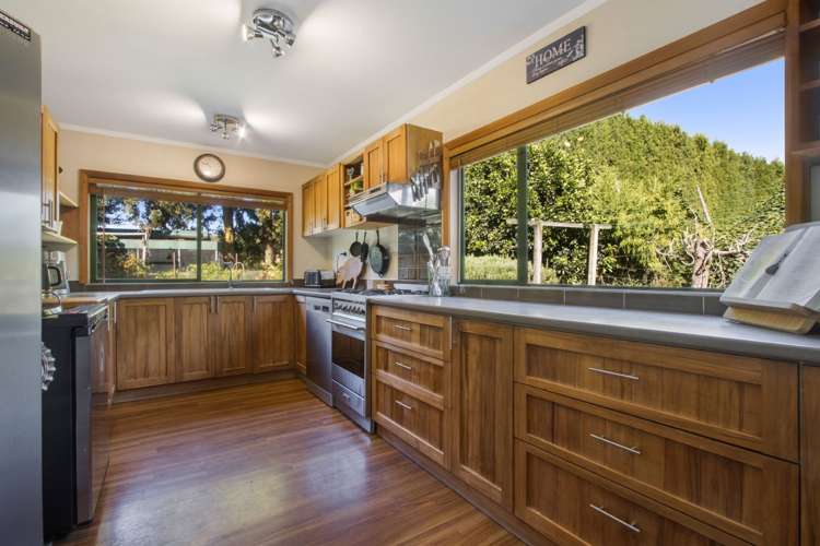 73 Stewart Road Whakamarama_4