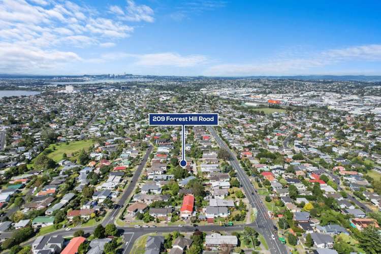 209 Forrest Hill Road Forrest Hill_23