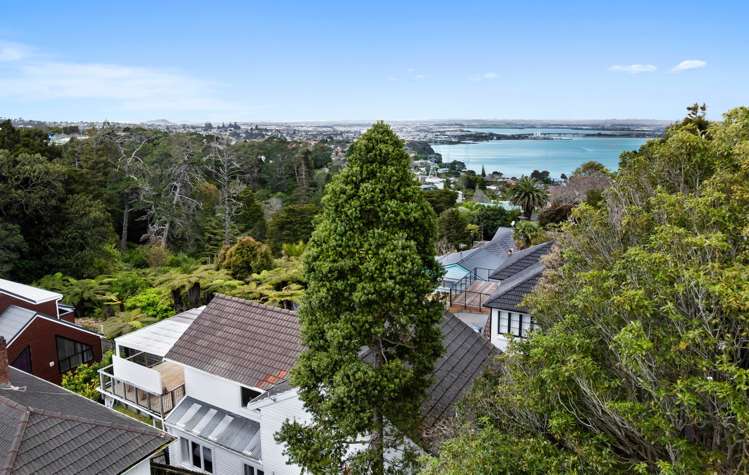 8 Goodall Street Hillsborough_24