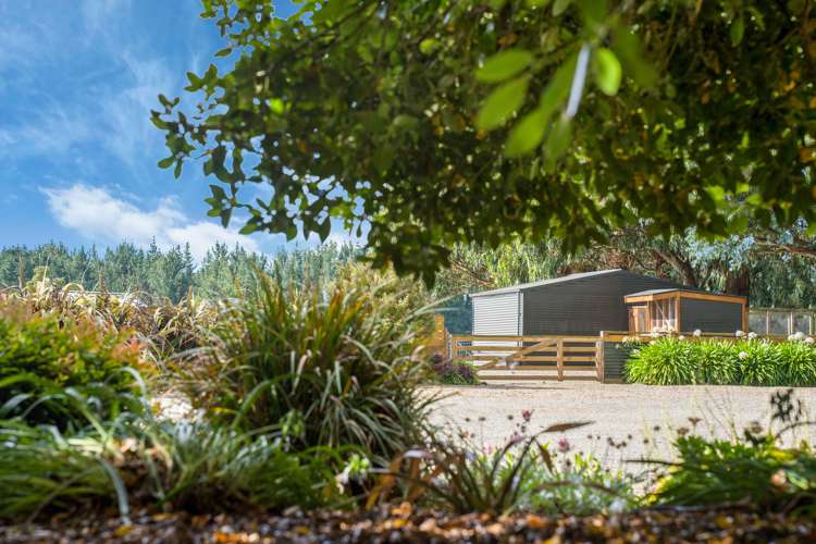 315 River Road Gore Surrounds_19