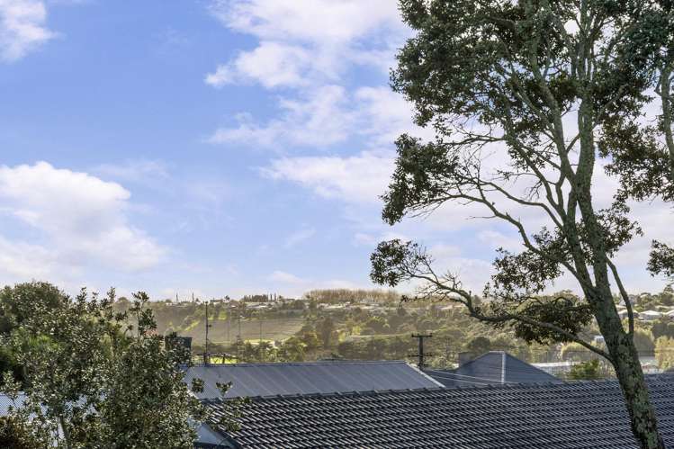 18 Mountain View Road Morningside_7