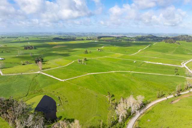 Vendors moving on - prime dairy opportunity