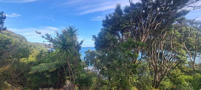 781 Whangaparapara Road Great Barrier Island_1