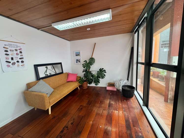 3/14 Alpha Street Te Aro_18