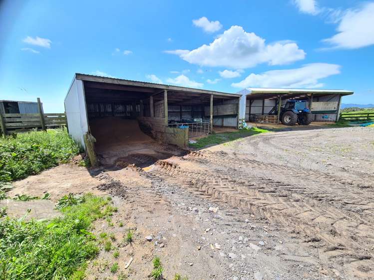 341 Puniho Road Newall_10