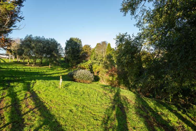 155 Woolrich Road Te Kowhai_19