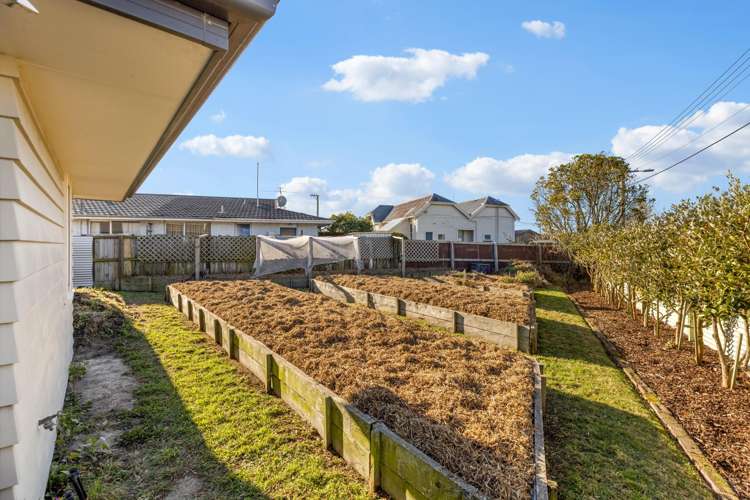 187 Olliviers Road Linwood_14