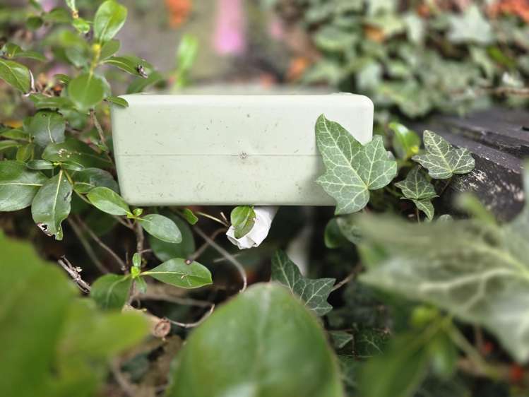 32a Saunders Road Ashburton_12