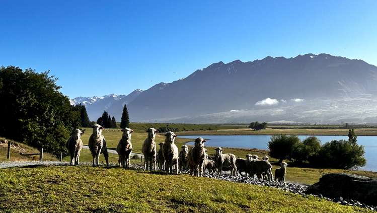 Lake Ohau Station Lake Ohau_30