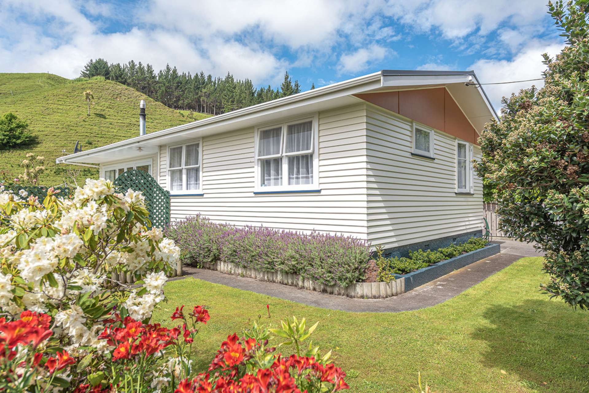 33 Turoa Road Wanganui East_0