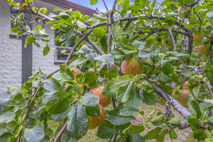 2/321 Burwood Road Burwood_12