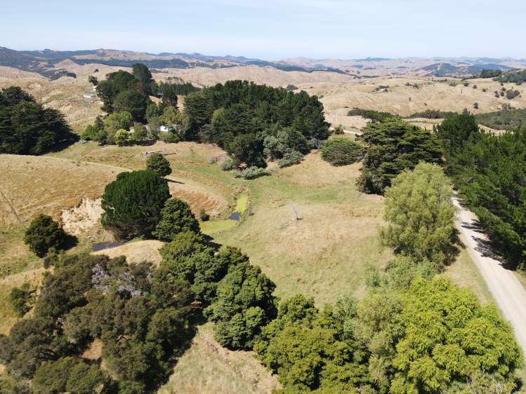 Esdaile Road Dannevirke_18