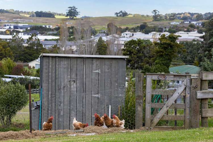 26 Viv Davie-Martin Drive Warkworth_28