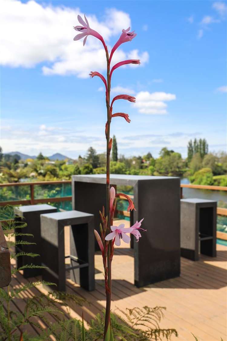 6 Hakarimata Road Ngaruawahia_18