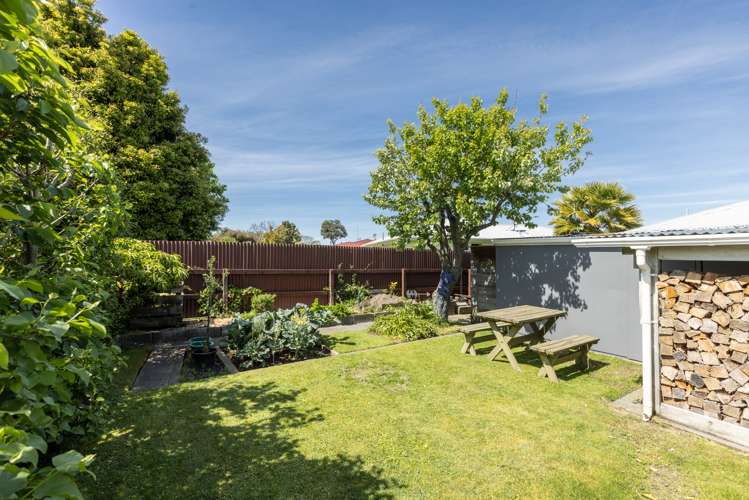 30 Plunket Street Tamatea_18