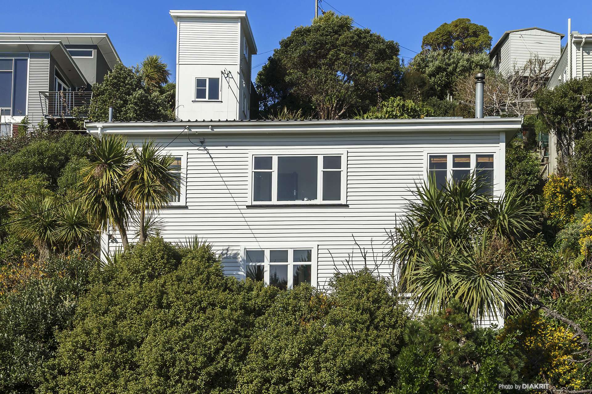 119 Nevay Road Miramar_0