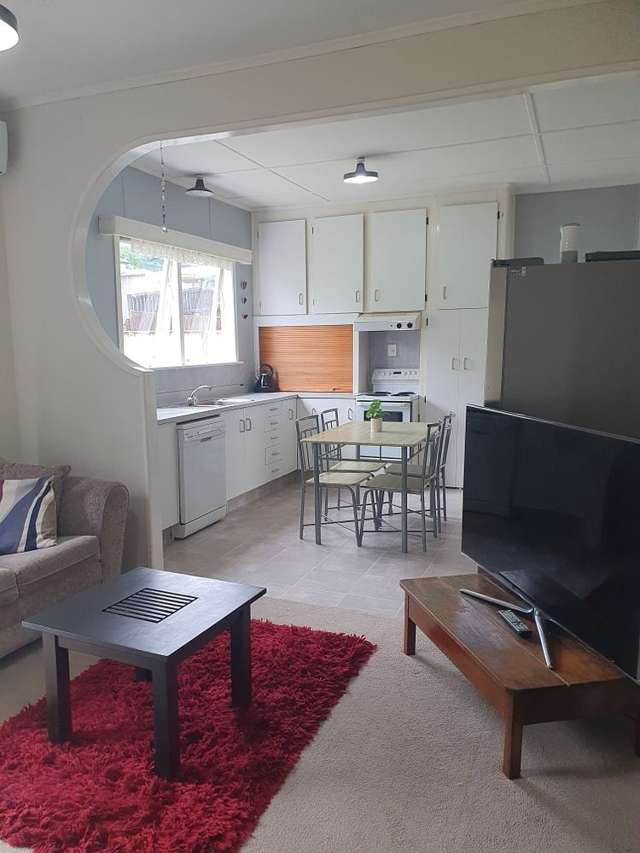 65 Phillips Avenue Otorohanga_3