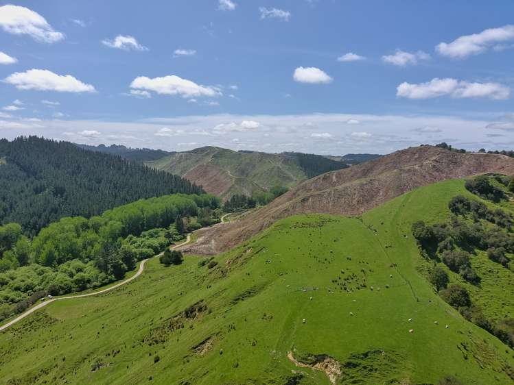 370 Matatara Road Parikino_12