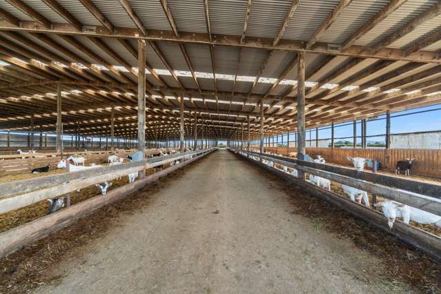 1532 Orini Road Taupiri_4