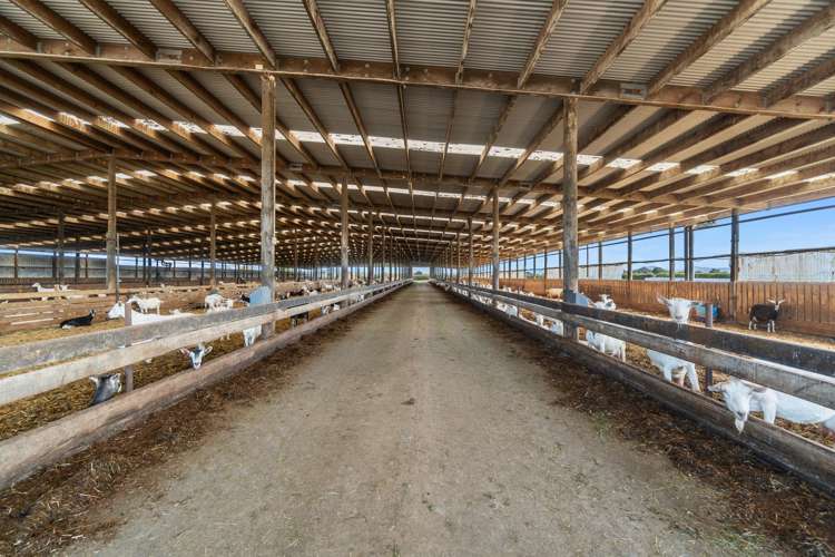 1532 Orini Road Taupiri_4