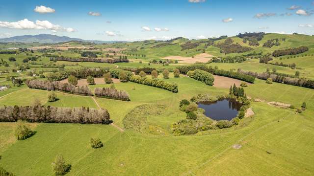 774 Buckland Road Matamata_3