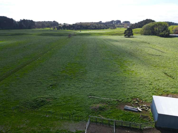 78 Brandon Hall Road Bulls_6