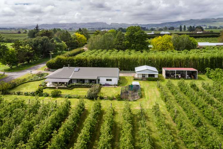 39 Algernon Road Longlands_20