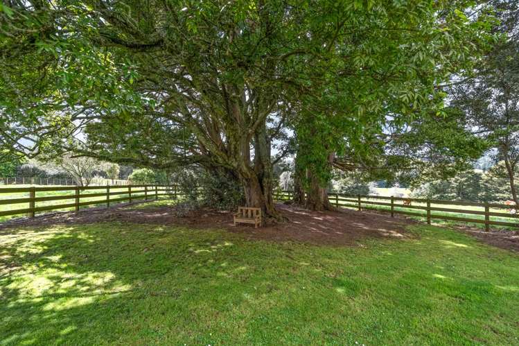 322 Kokopu Road Ruatangata_32