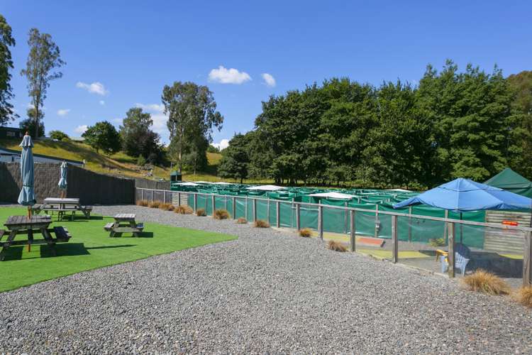 8 Palmer Mill Road Wairakei and Surrounds_9