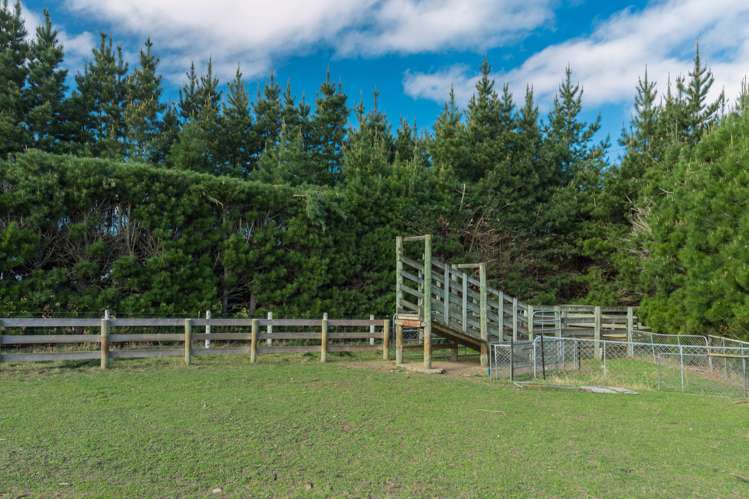 10 Mount Thomas Road Fernside_11