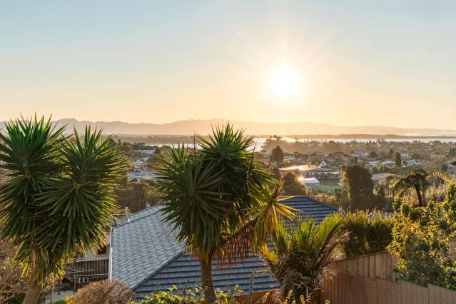 56 Lydbrook Place Otumoetai_1