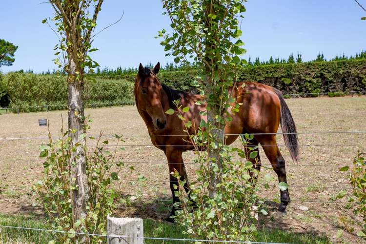 942 Ellesmere Junction Road Burnham_20