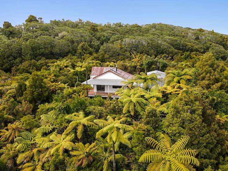 Little Totara River Charleston_16